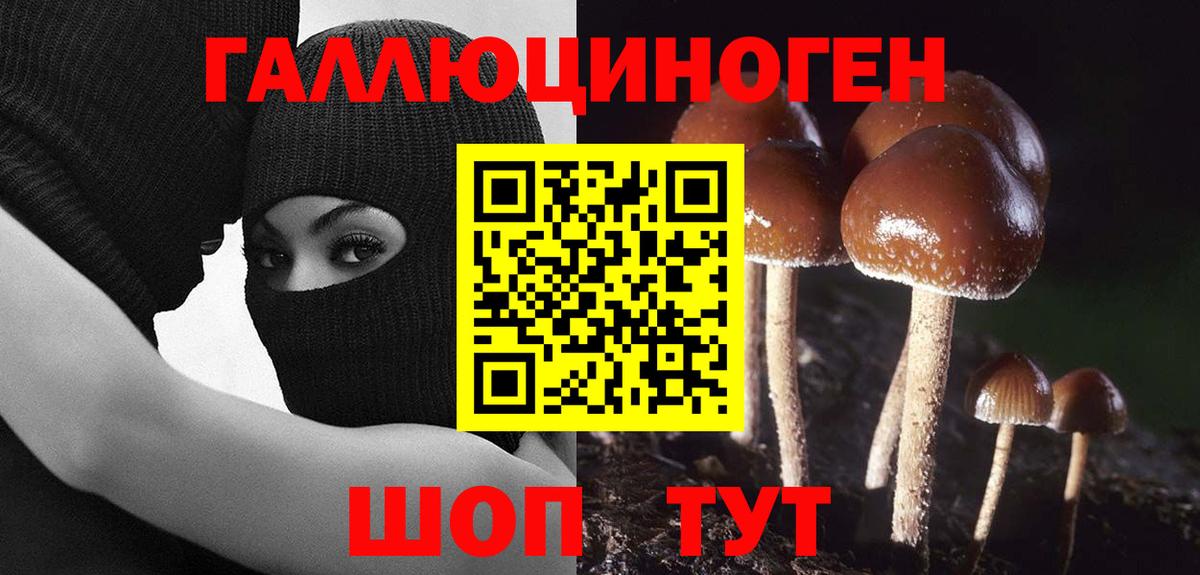 Псилоцибиновые грибы мухоморы  Псилоцибиновые грибы GOLDEN TEACHER  Вход с VPN  Тосно 